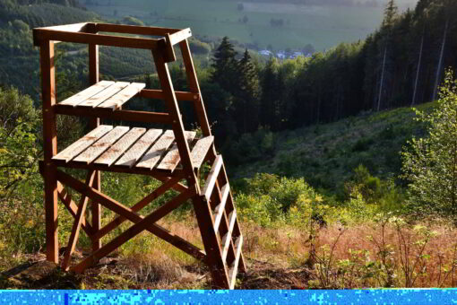 Drückjagdbock Holz im Revier